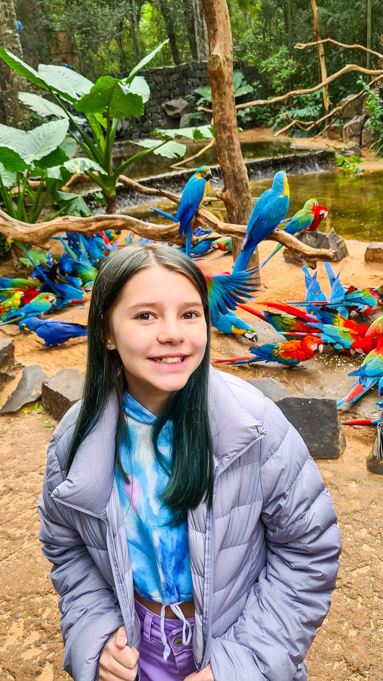 Parque das Aves em Foz do Iguaçu