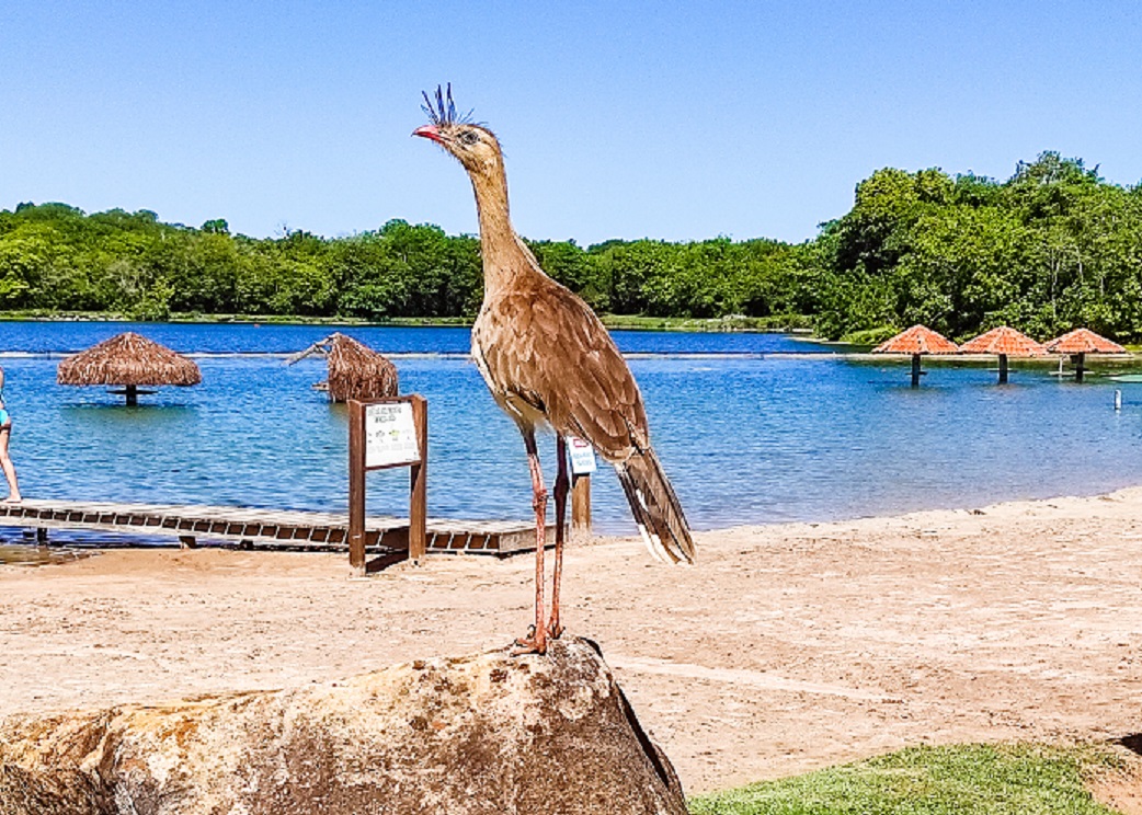 Conheça a Praia da Figueira em Bonito