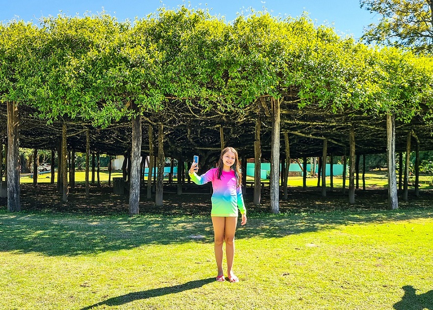 A Figueira que deu nome ao atrativo possui mais de 1.000m².